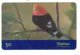 SP99-04465 Aves do Brasil (Uirapuru-laranja) T4.000.000 CSM 50