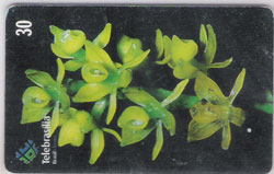 39285 DF 06/00 Orquidea do Cerrado Epidendrum T 200.000 ICE 30C