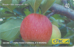 40592 CTBC 03/03 Frutas do Brasil 03/12 T300.000 ICE 40C