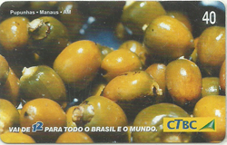 40593 CTBC 03/03 Frutas do Brasil 06/12 T265.000 INT 40C