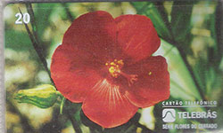 61543  TB  04/95  Flores do Cerrado  - PAVNIA  ( 02 - 04/95 ) C/*
