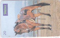 66576 SP 05/99 Cavalos - Arabe  versatilidade T 300.000 INT 20C