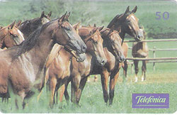 66676 SP 06/99 Cavalos - Cavalos no Pato T200.000 INT 50C