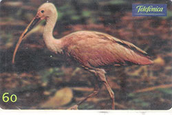 67112 SP 05/00 Pssaros Exticos - Flamingo Rosa T 400.000 INT 60C