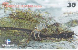 67681 PE 04/01 Fernando de Noronha  - Fauna  10/10  T 190.000  CSM 30C