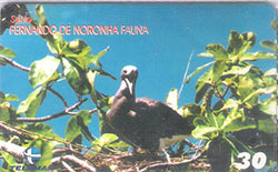 74338 PB 05/01 Fernando de Noronha - Fauna  03/10  T 250.000 CSM 30C