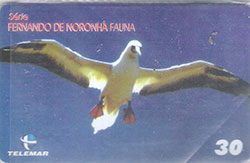 74341 PB 05/01 Fernando de Noronha - Fauna 05/10  T 250.000 CSM 30C